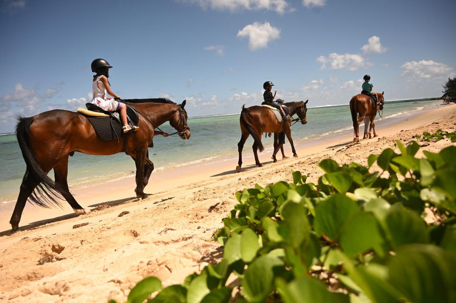 Bel Ombre Horse Riding