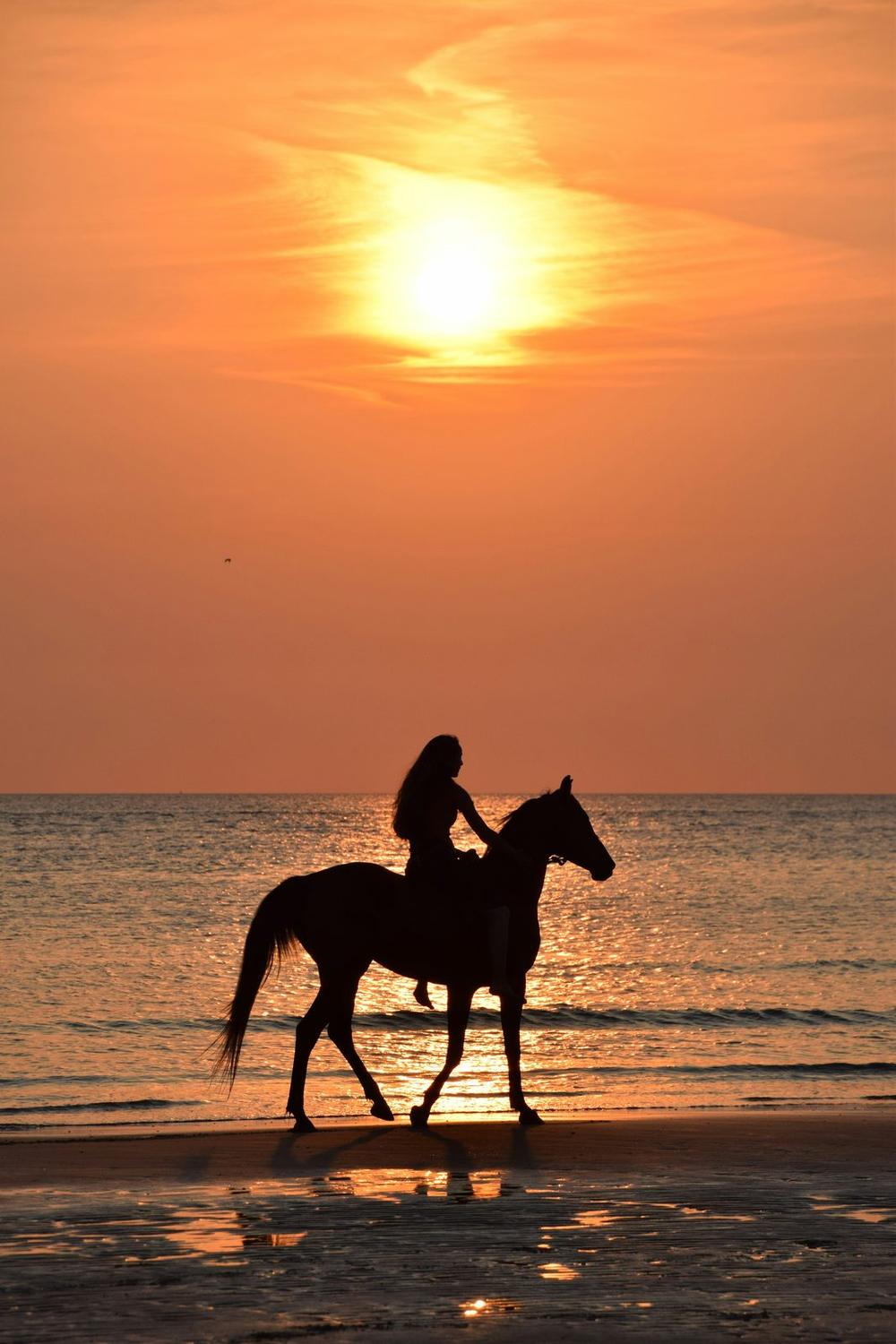Bel Ombre Horse Riding
