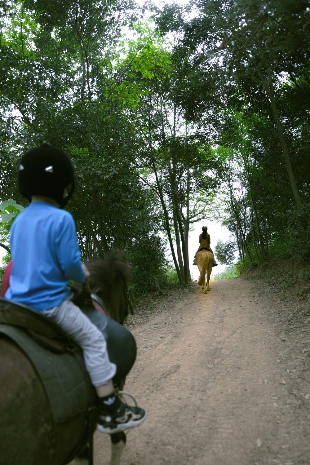 Bel Ombre Horse Riding