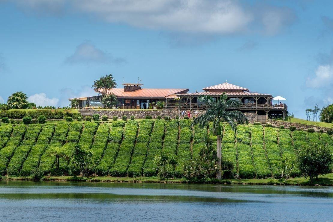 Bois Chéri Tea Factory