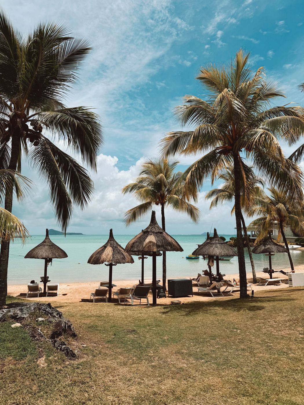 Palm-lined beaches