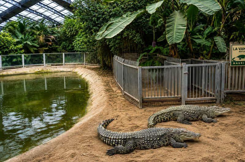 La Vanille Nature Park (Crocodile Park)