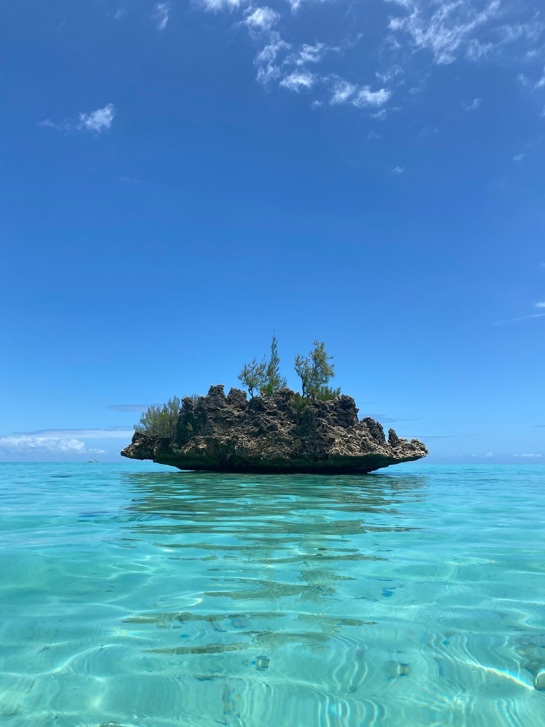 West Coast Boat Trip
